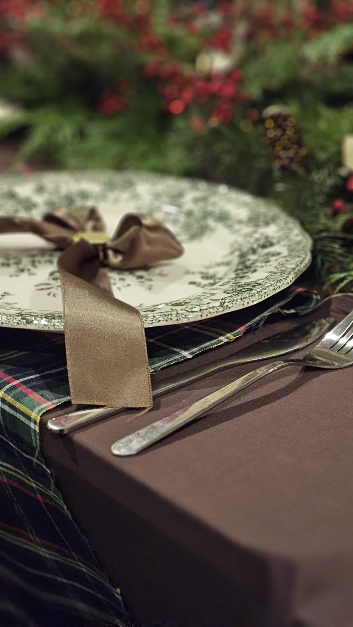 Pack Verde - imagen 3